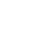 wagon_12848368